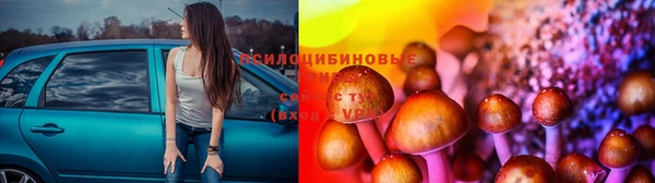 мет Арсеньев