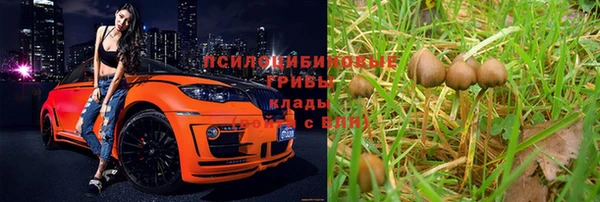 бутират Богданович