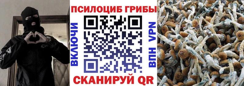 Галлюциногенные грибы прущие грибы  Вихоревка 